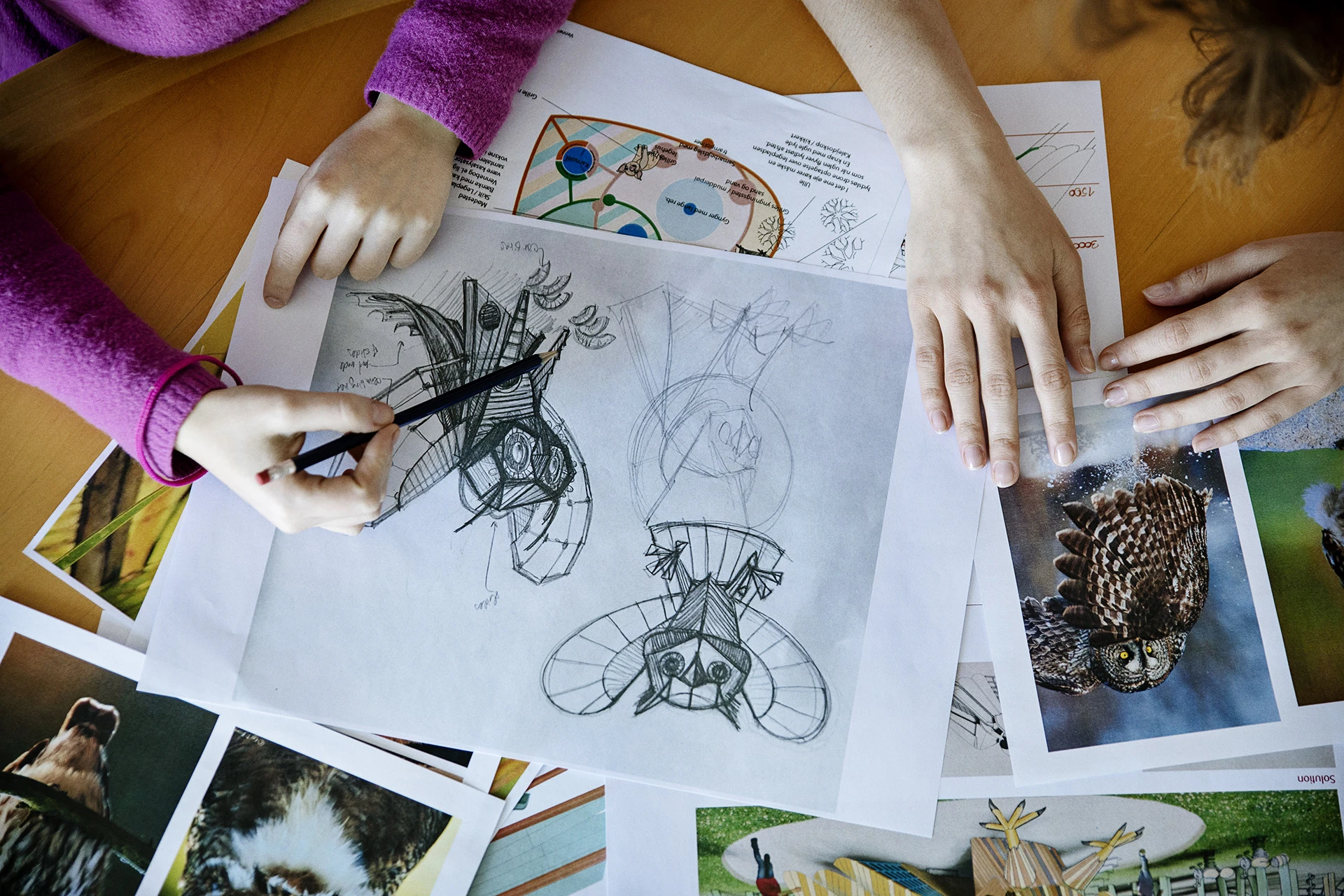 What is done by our team?